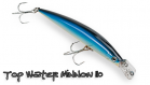 Воблеры Strike Pro Top Water Minnow 110 - Интернет-магазин товаров для рыбалки «Академiя Рыбалки»